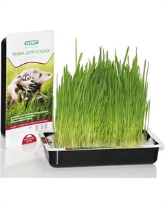 Лакомство для кошек Трава 0,04 кг Titbit