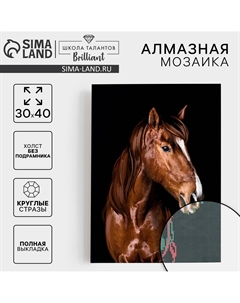 Алмазная мозаика с полным заполнением на холсте Школа талантов