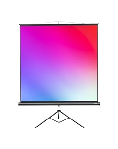 Экран для проекторов Lumien Master View LMV-100105