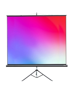 Экран для проекторов Lumien Master View LMV-100113