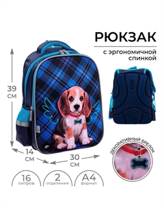 Рюкзак каркасный школьный Calligrata