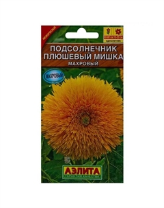 Подсолнечник махровый «Плюшевый мишка» Аэлита