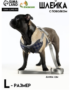 Шлейка с поводком, l, ош 30-50 см, ог 36-56 см, поводок 120×1.5 см, мягкая, серая Пижон