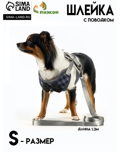 Шлейка с поводком, s, ош 20-40 см, ог 30-44 см, поводок 120×1 см, серая Пижон