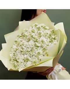 51 белая маттиола Букетная лавка