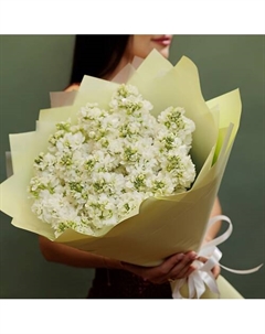 25 белых маттиол Букетная лавка