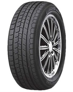 Зимние шины Roadstone EuroVis Alpine WH1 205/55 R16 91H