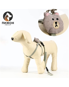 Комплект амуниции с игрушкой и круглым поводоком 120 х 1 см,ош 22-38 см, ог 22-38 см, зеленый Пижон