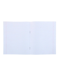 Комплект тетрадей из 10 штук, 18 листов в клетку кпк Calligrata