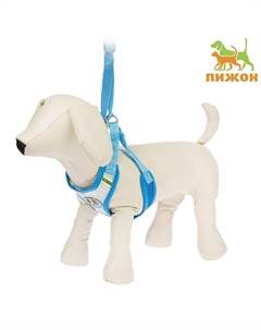 Шлейка регулируемая дышащая, светоотражающая, размер xl (ош 48-68; ог 58-72 см), голубая Пижон