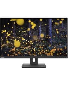 27" Монитор Lenovo ThinkVision E27q-20, 2560x1440, IPS, 75Гц, 1хHDMI, 1хDP, черный