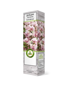 Саженец Дейция пурпурная Калмифлора Поиск