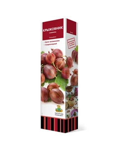 Саженец Крыжовник Родник Поиск