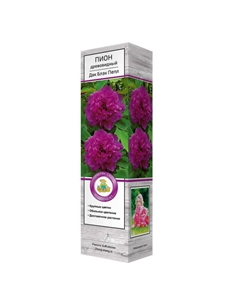 Саженцы Пион древовидный Дак Блэк-Пёпл Поиск