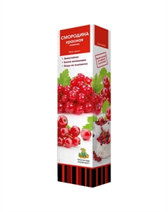 Саженец Смородина красная Ася Поиск