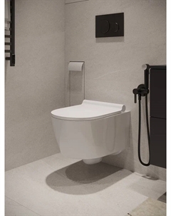 Унитаз подвесной AT05100 безободковый, с сиденьем микролифт, белый Agger