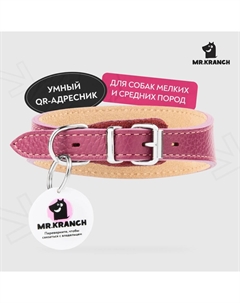 Ошейник-селедка для собак из натуральной кожи с QR-адресником, малиновый 19-23см Mr.kranch