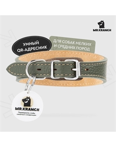 Ошейник-селедка для собак из натуральной кожи с QR-адресником, оливковый 29-35см Mr.kranch