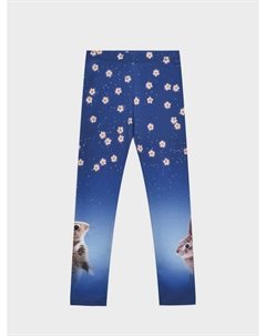 Леггинсы, принт звери и звездное небо Molo