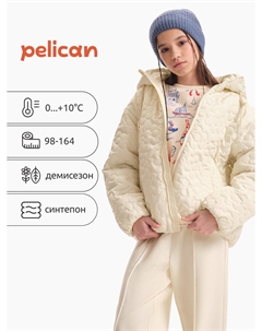 Ветровка Pelican