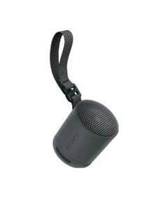 Портативная акустика SONY XB100, 2.5 Вт, Bluetooth, черный (SRS-XB100/BC) Sony