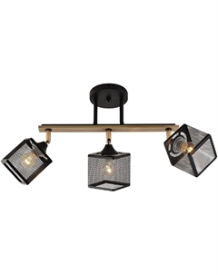 Спот 01591-3.3-03B BK+FGD+WOOD Reluce