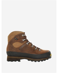 Ботинки мужские Tofana Gore-tex, Коричневый Dolomite