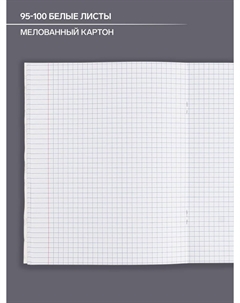 Тетрадь предметная, 48 листов в клетку Calligrata