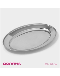 Поднос овальный из нержавеющей стали, 30×20 см, серебристый Доляна