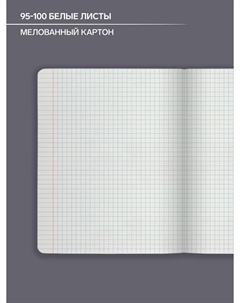 Тетрадь предметная, 48 листов в клетку, Calligrata