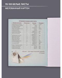 Тетрадь предметная 48 листов в клетку Calligrata