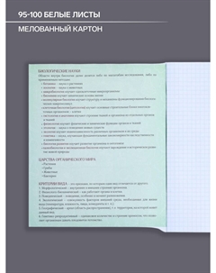 Тетрадь предметная 48 листов в клетку Calligrata