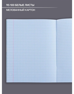 Тетрадь предметная 48 листов в клетку Calligrata