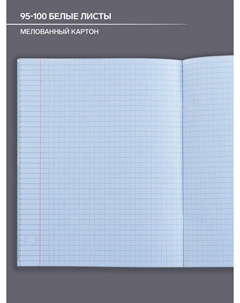 Тетрадь предметная, 48 листов в клетку, Calligrata