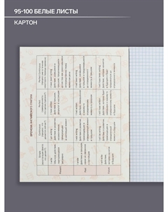 Тетрадь предметная 48 листов в клетку Calligrata