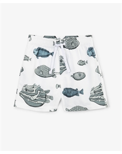 Плавательные шорты для мальчика с принтом мультицвет Gulliver