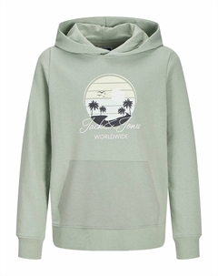 Худи из мольтона с капюшоном и принтом спереди зеленый Laredoute