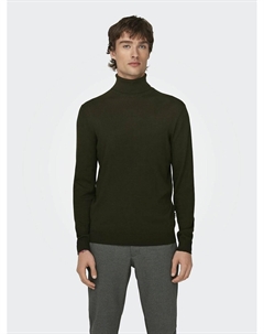 Пуловер с воротником с отворотом Wyler зеленый Laredoute
