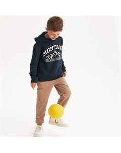 Флисовая толстовка с принтом синий Laredoute