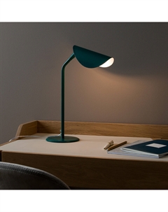 Лампа настольная Funambule зеленый Am.pm.