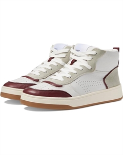 Кроссовки Calypso, цвет Burgundy Leather Steve madden