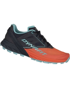 Кроссовки Alpine Trail, черный Dynafit