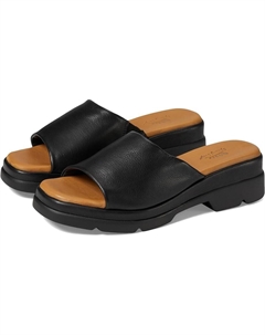 Туфли Fireisland, черный Spring step