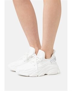Кеды PROTEGE, цвет White Steve madden