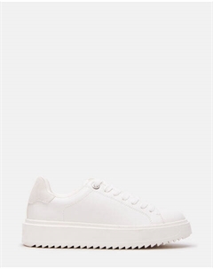 Кеды Catcher, белый Steve madden
