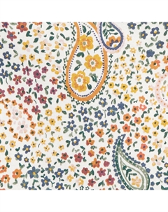 Комплект из 5 боди Carter с короткими рукавами и рисунком пейсли и бабочек для маленьких девочек Carter`s