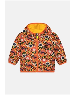 Легкая куртка X THE ANIMAL OBSERVATORY BABY JACKET UNISEX, цвет multi-coloured Save the duck