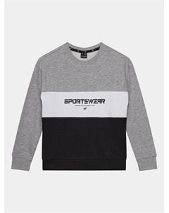 Толстовка обычного кроя, серый 4f