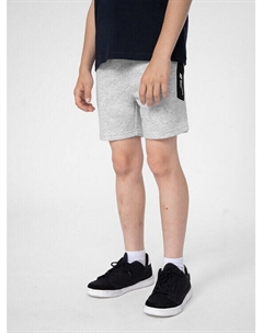 Спортивные шорты стандартного кроя, серый 4f