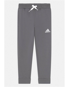 Спортивные брюки Entrada 22, цвет team grey four Adidas